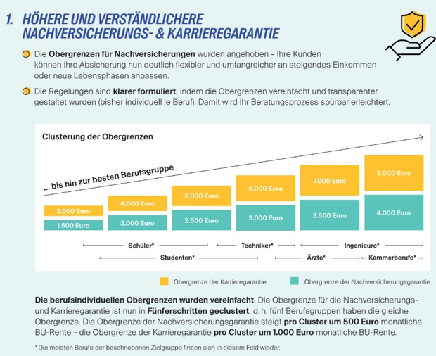 Schaubild 13